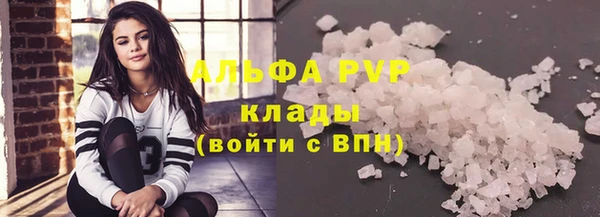мдпв Вяземский