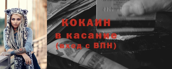 мдпв Вяземский