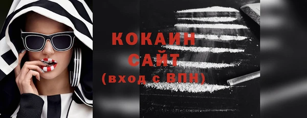 мдпв Вяземский