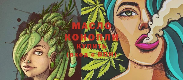 мдпв Вяземский