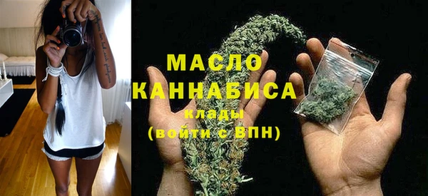 мдпв Вяземский