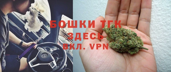 мдпв Вяземский