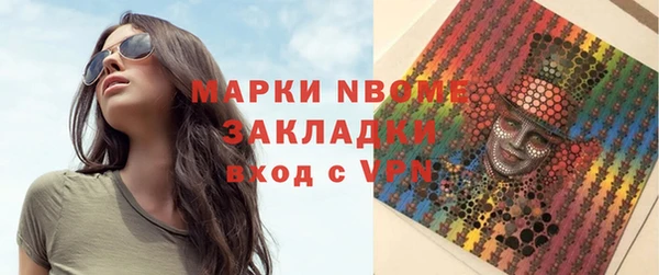 мдпв Вяземский