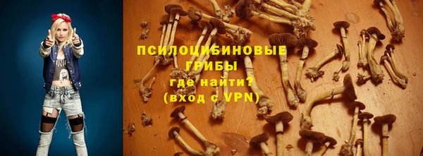 твердый Вязьма