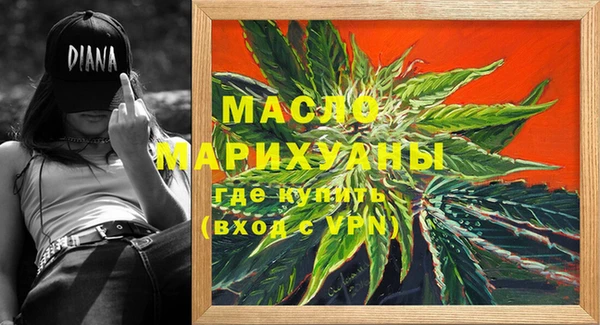 мдпв Вяземский