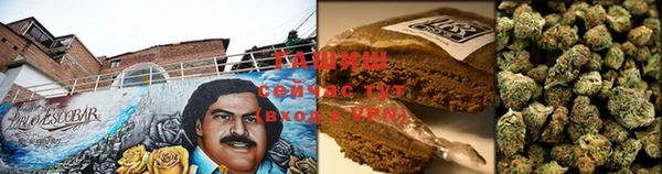 мдпв Вяземский
